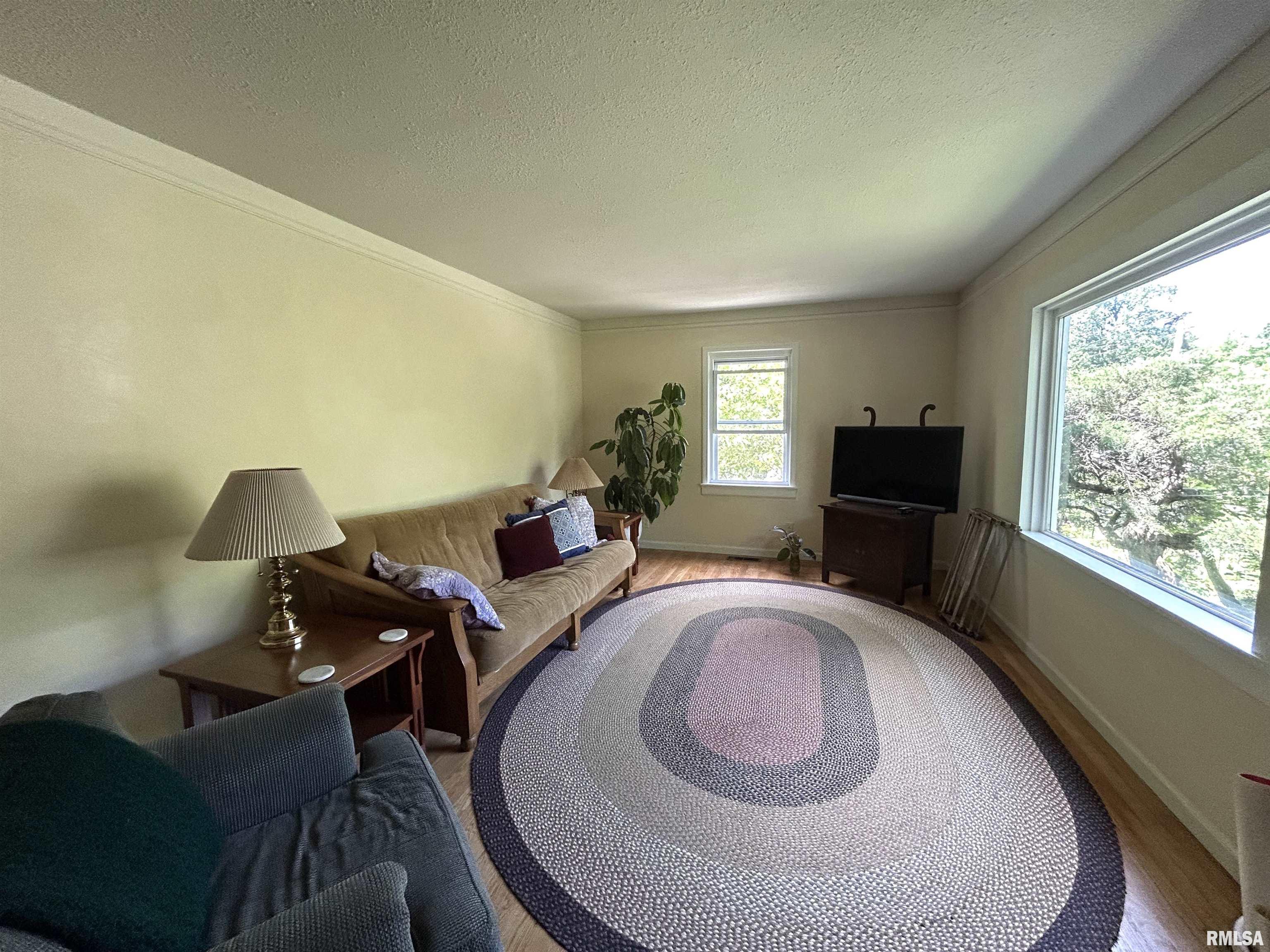 701 W Elm Street, Carbondale, Illinois image 13