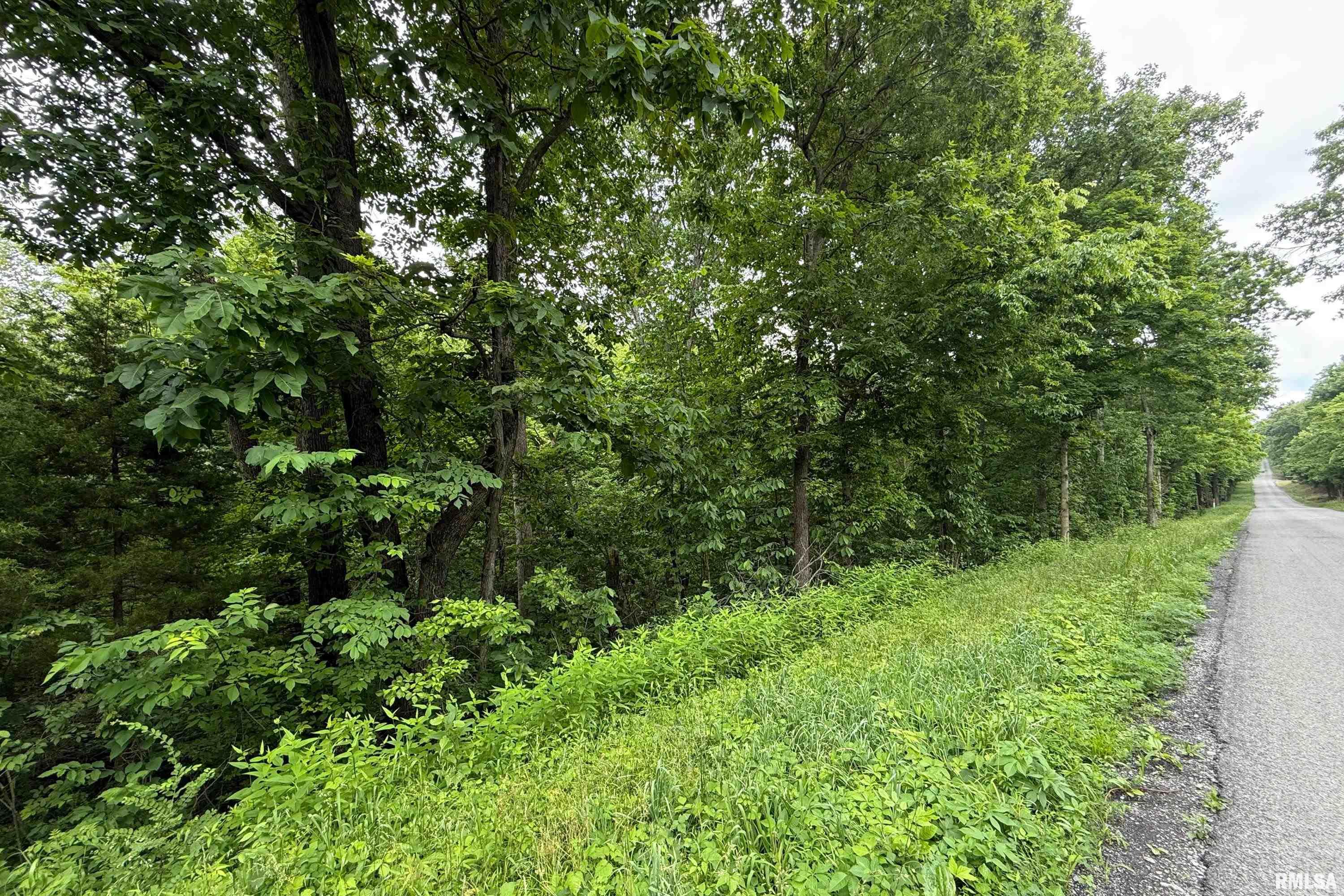 70 Parrish Ridge Lane, Goreville, Illinois image 2