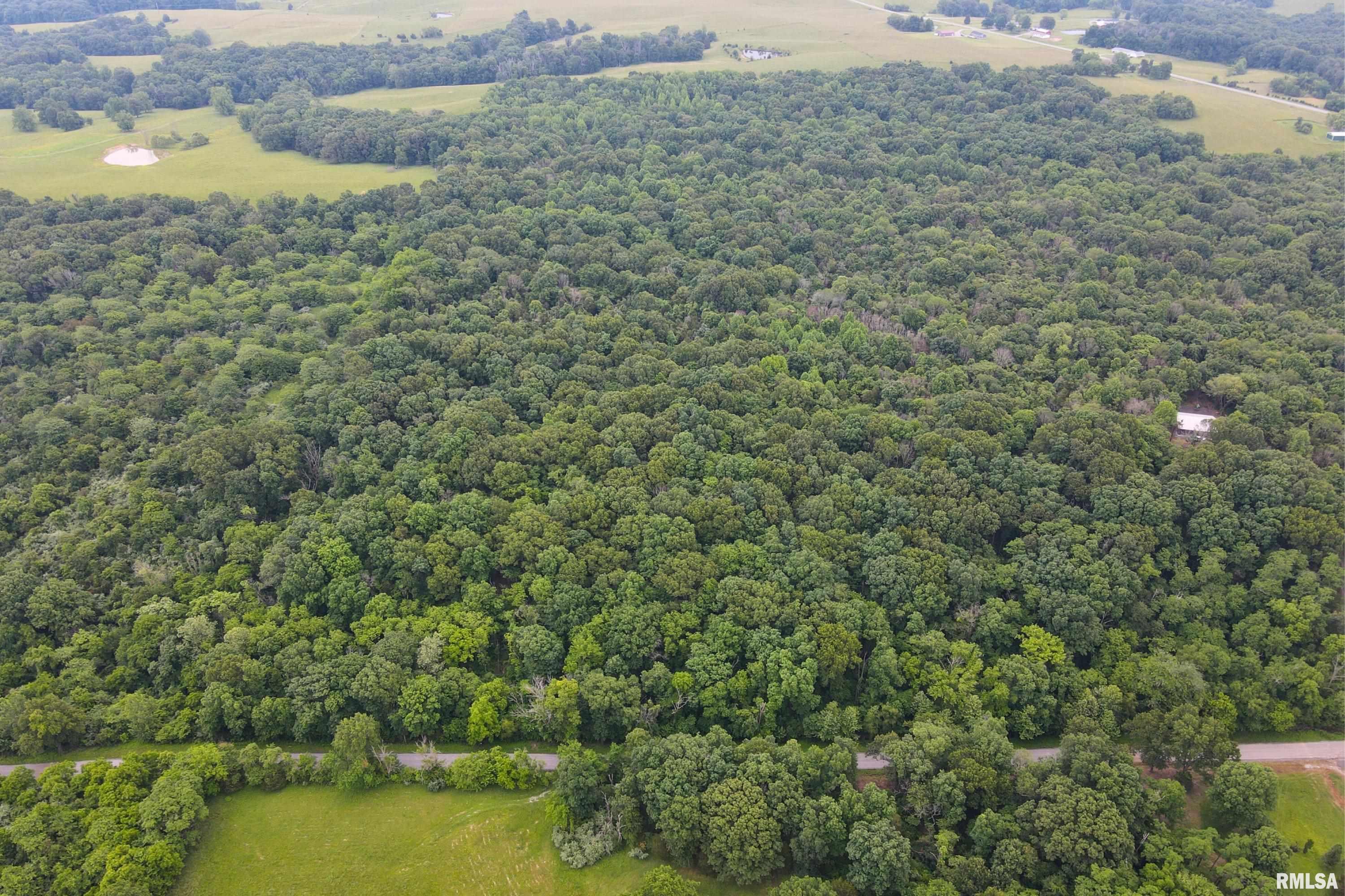 70 Parrish Ridge Lane, Goreville, Illinois image 1