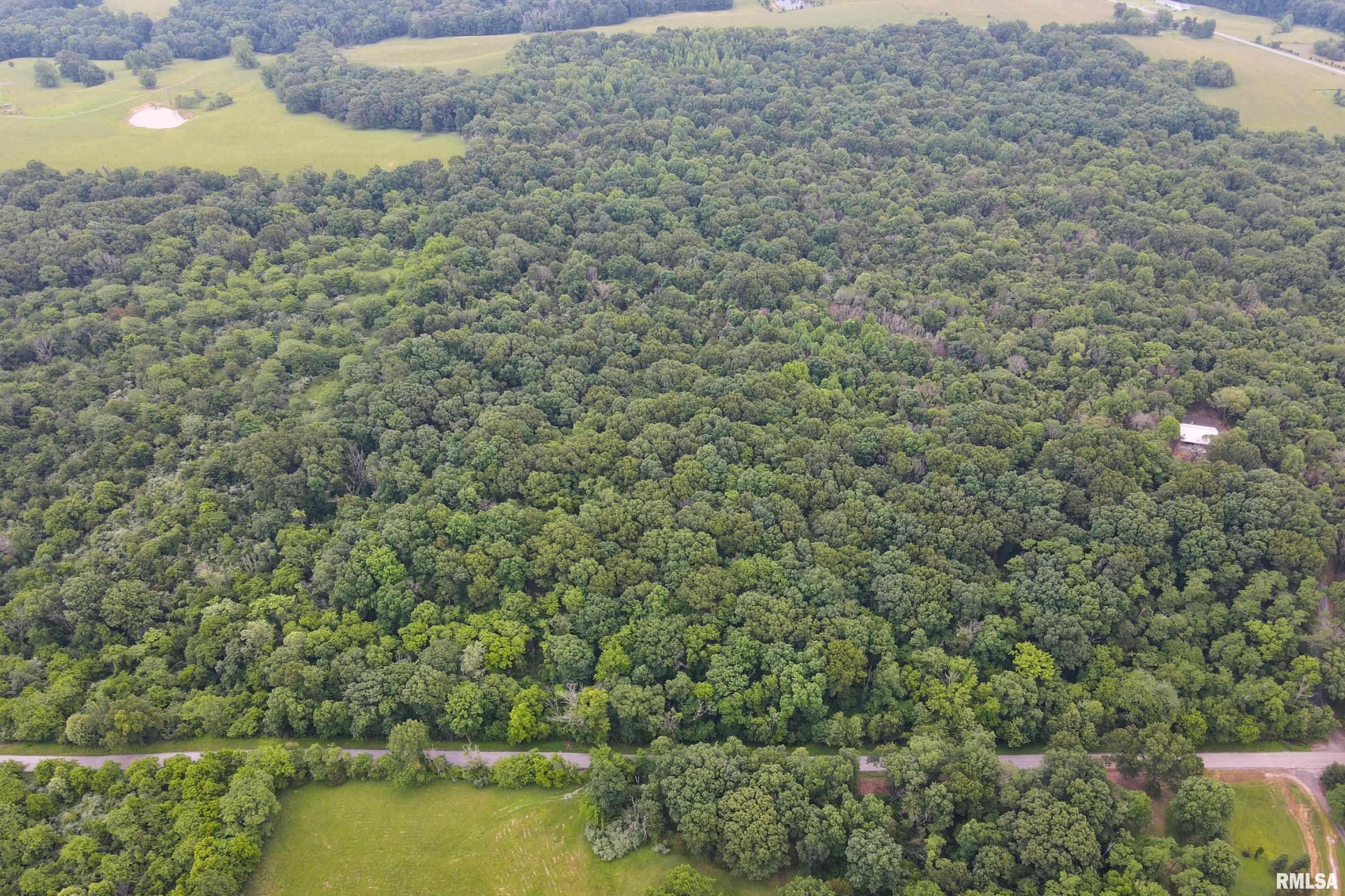 70 Parrish Ridge Lane, Goreville, Illinois image 4