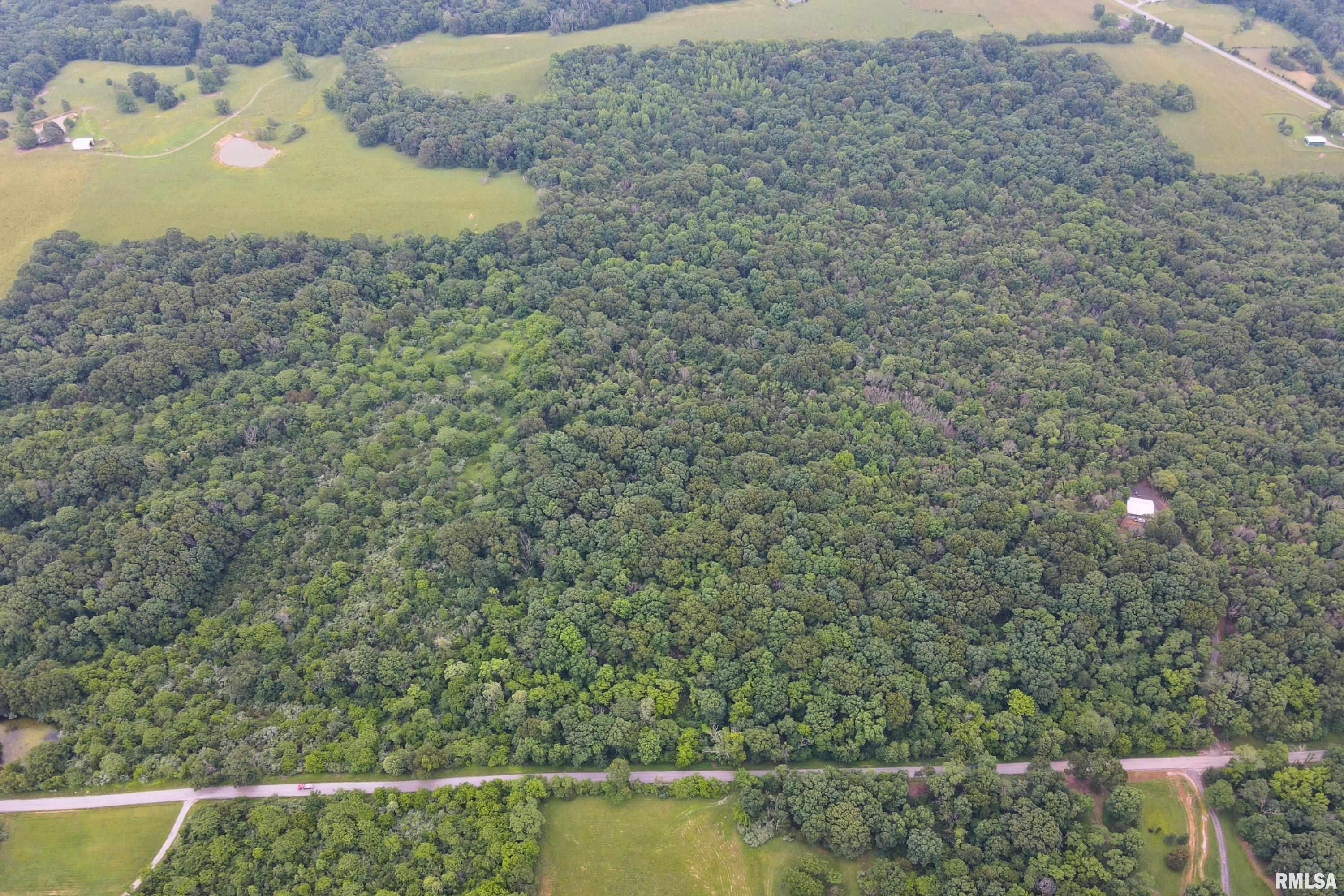 70 Parrish Ridge Lane, Goreville, Illinois image 5