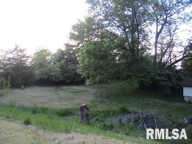 11209 W Farmington Road, Hanna City, Illinois image 21