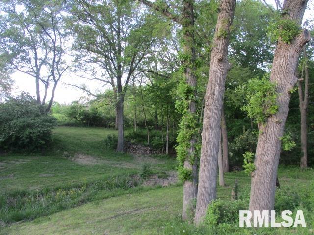 11209 W Farmington Road, Hanna City, Illinois image 22
