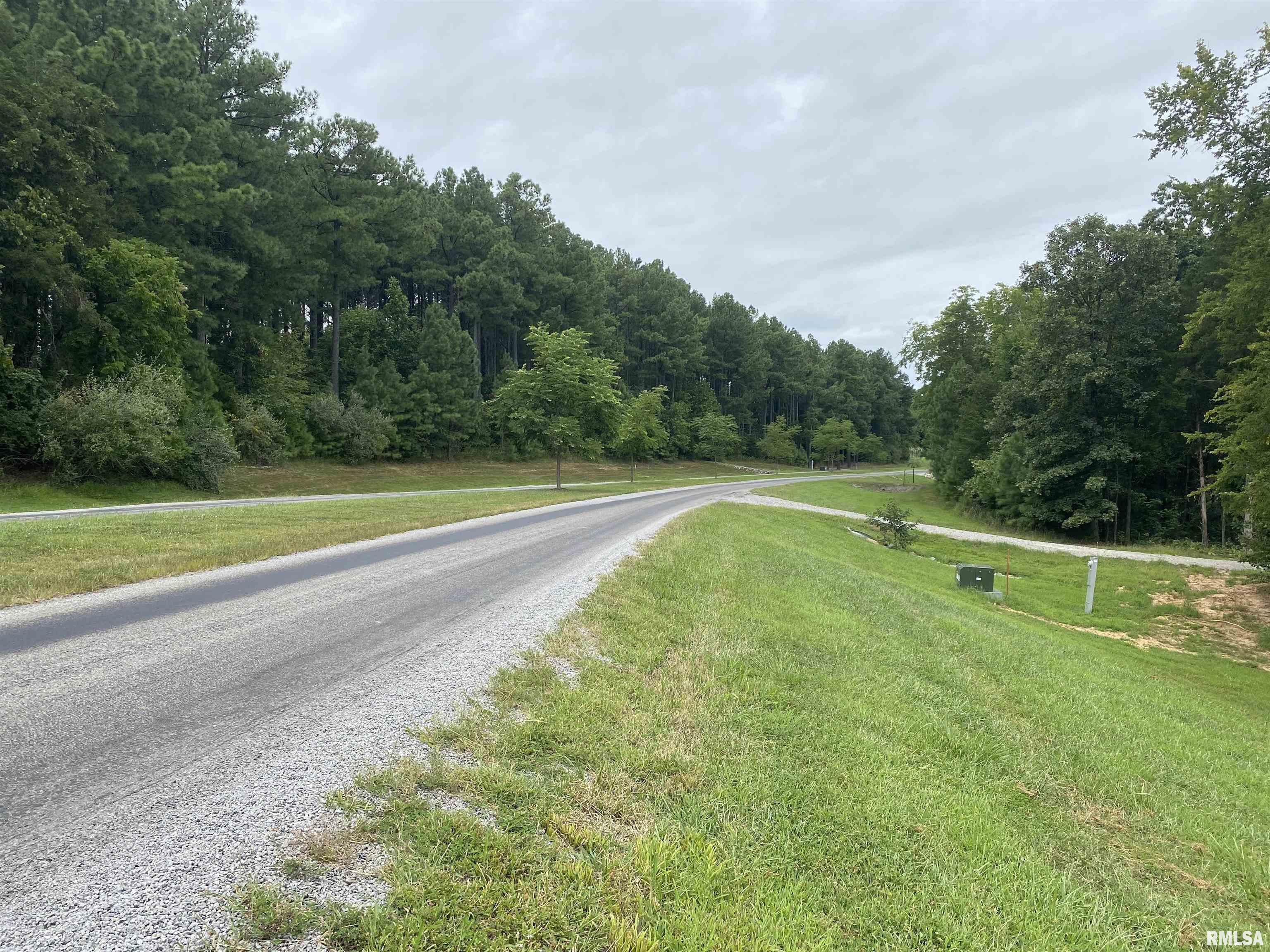 Parrish Ridge Lane, Goreville, Illinois image 9