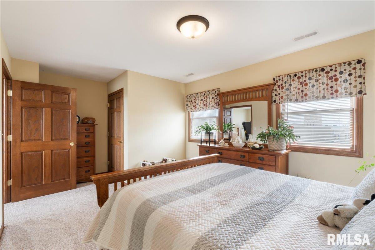 35 Ferry Street, Prophetstown, Illinois image 47