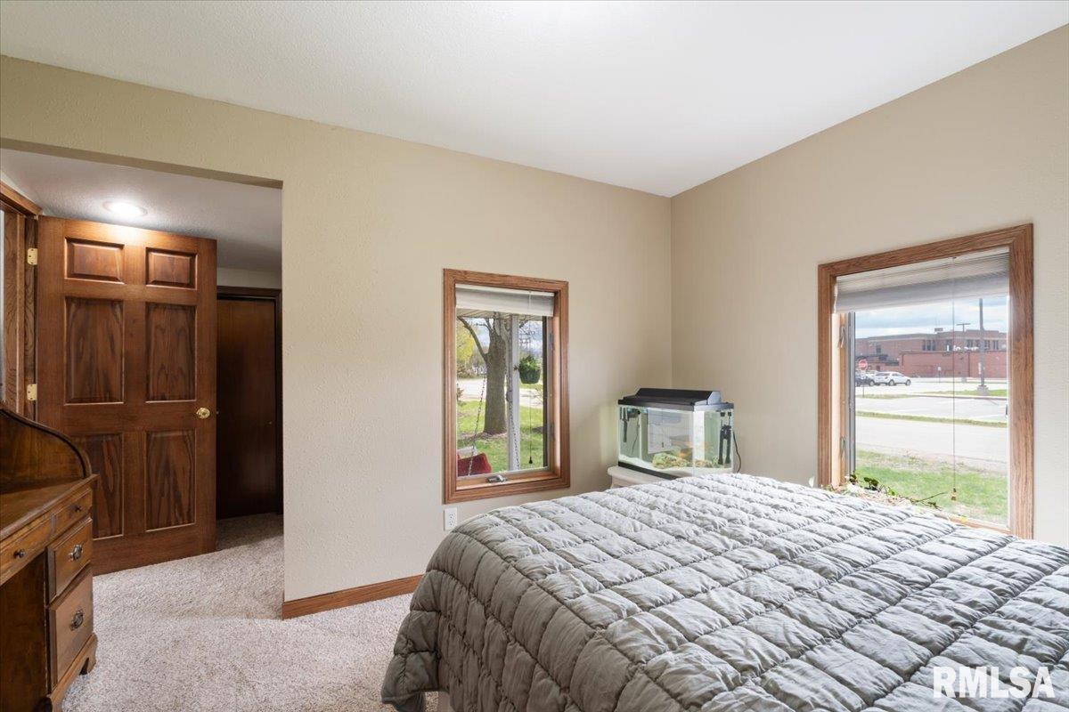 35 Ferry Street, Prophetstown, Illinois image 37