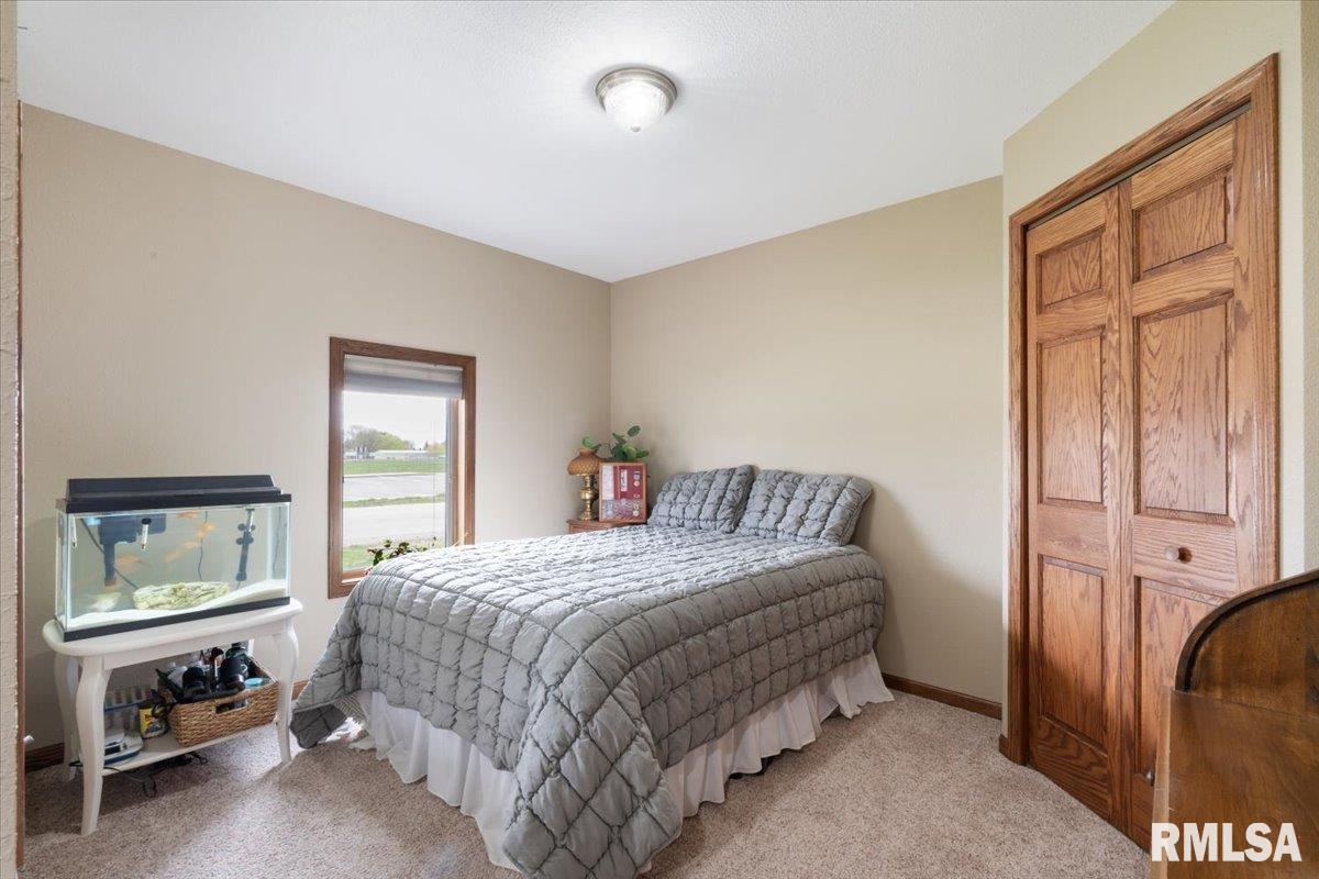 35 Ferry Street, Prophetstown, Illinois image 36