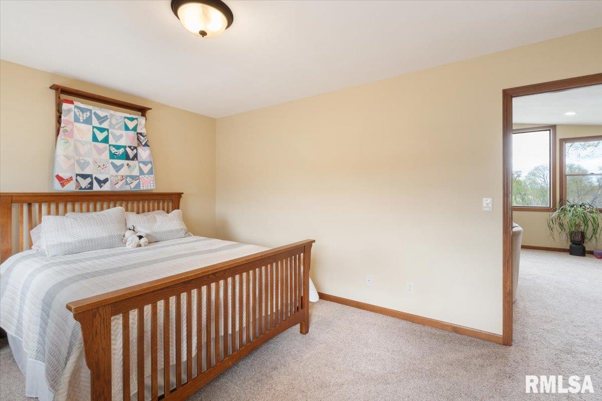 35 Ferry Street, Prophetstown, Illinois image 48