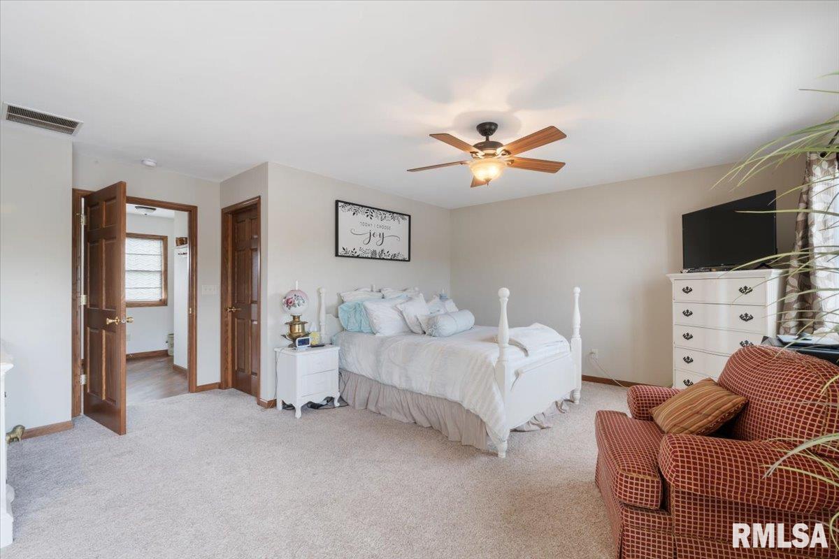 35 Ferry Street, Prophetstown, Illinois image 29