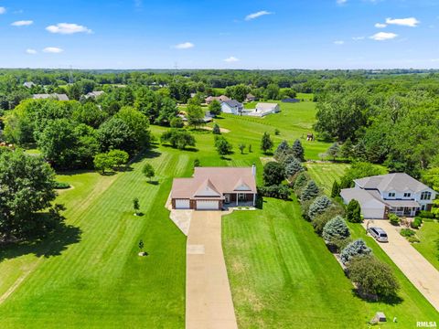 Homes For Sale - 13021 N Bland Road<br/> Dunlap, IL 61525