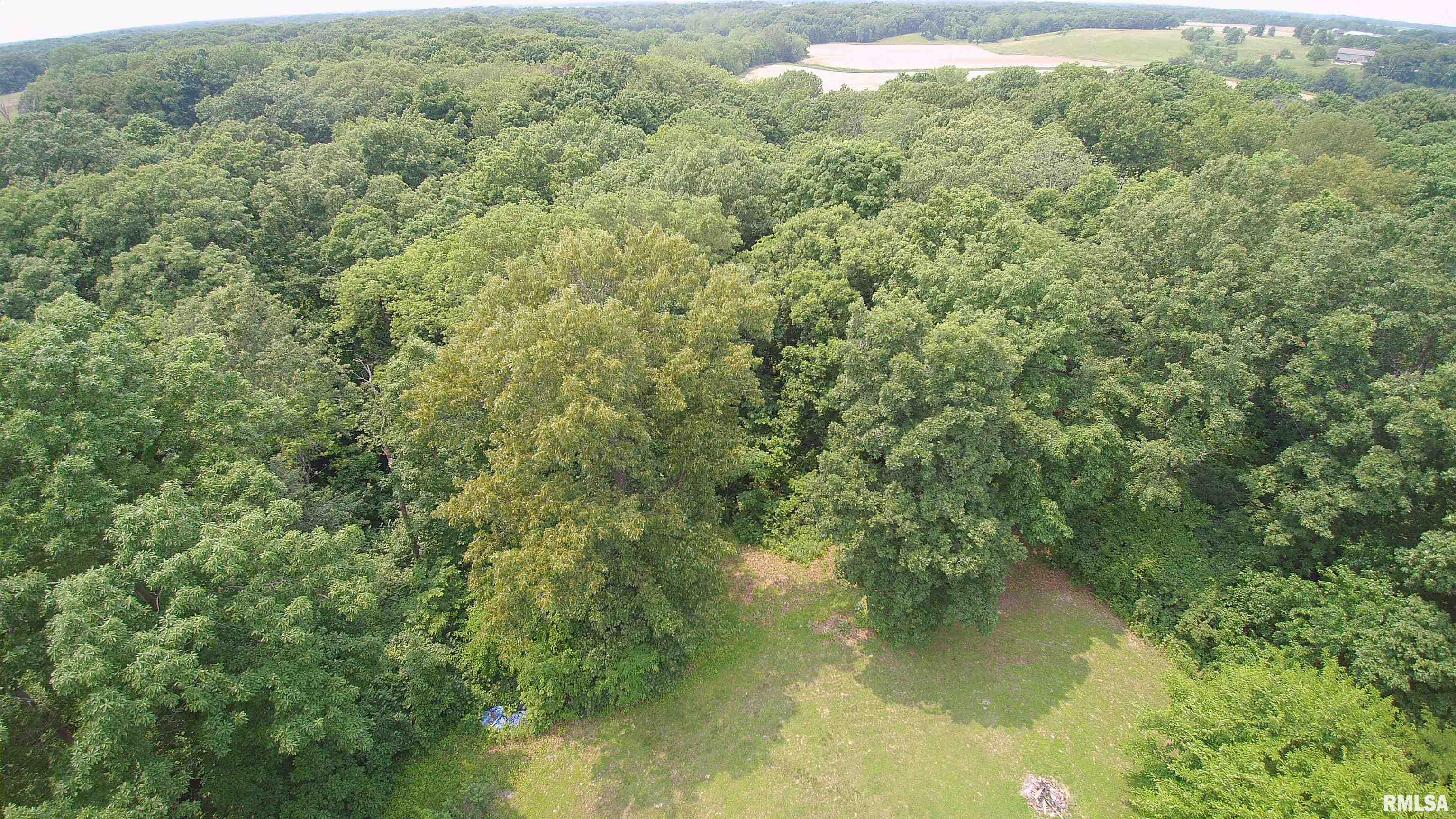 27425 Quarton Road, Palmyra, Illinois image 34