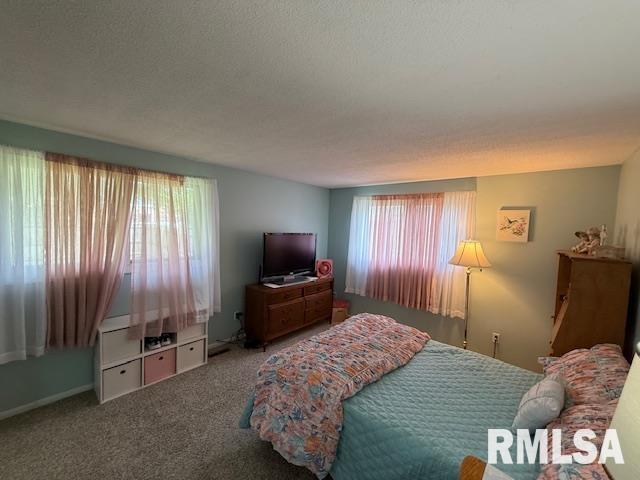 603 Sherry Street, Colchester, Illinois image 11