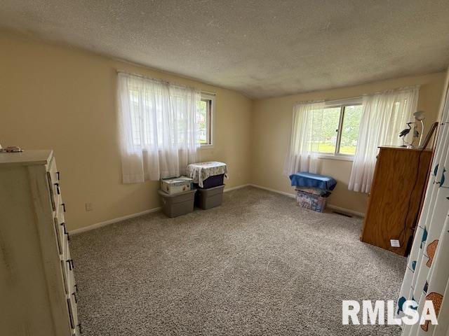 603 Sherry Street, Colchester, Illinois image 15