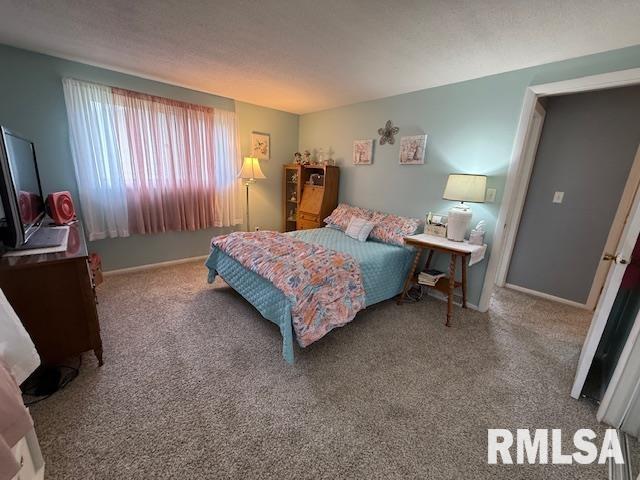 603 Sherry Street, Colchester, Illinois image 12