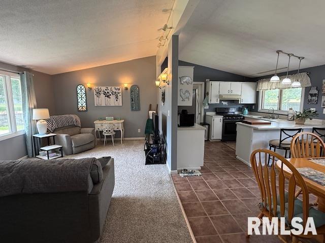603 Sherry Street, Colchester, Illinois image 5