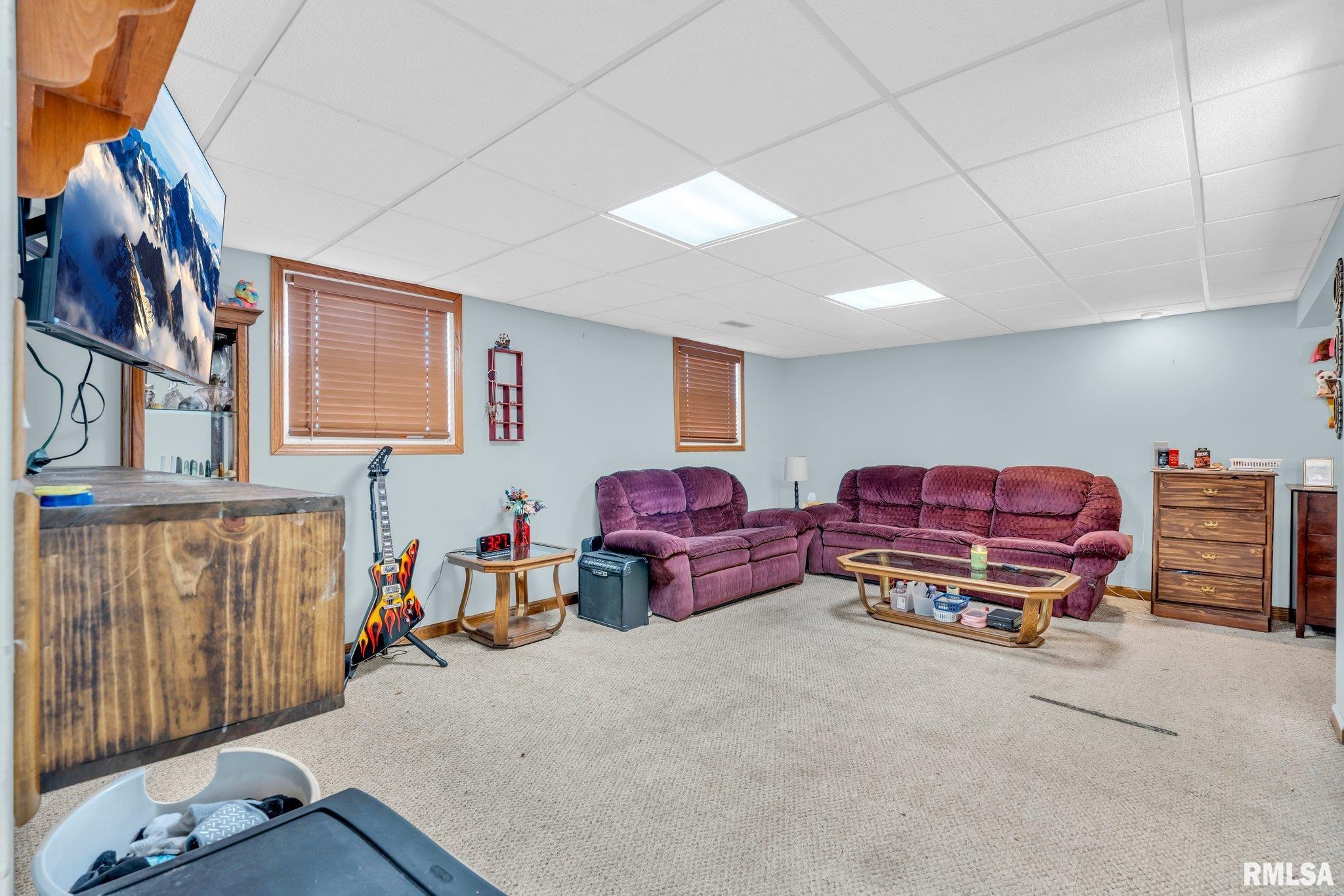 919 5th Street, Colona, Illinois image 19