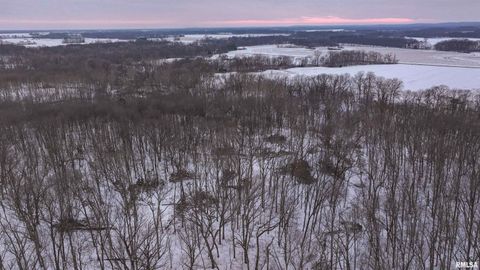 Vacant Land For Sale - RR N 1450 E Street<br/> Fayette County, Brownstown, IL 62418