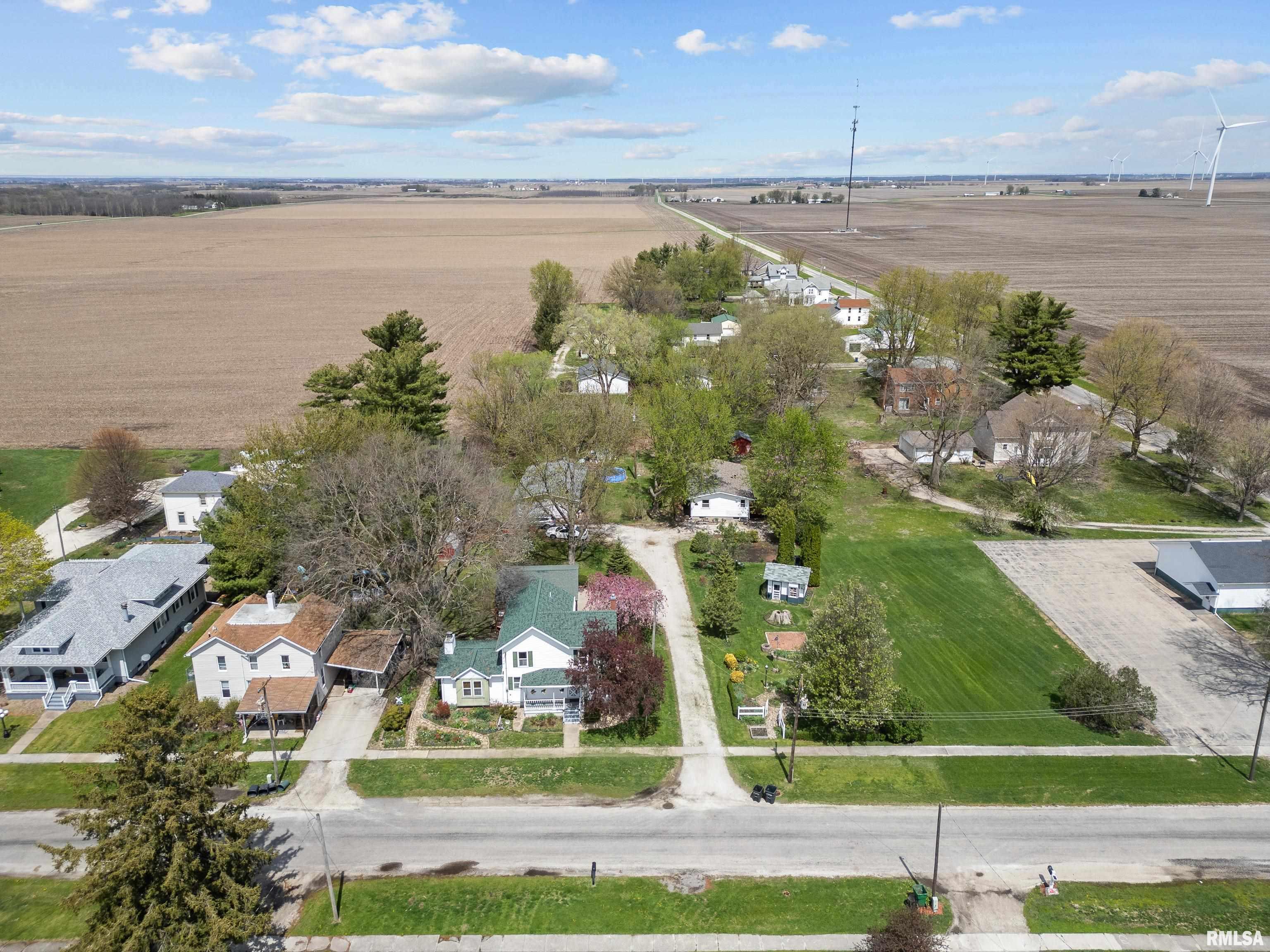 140 W 5th Avenue, Woodhull, Illinois image 4