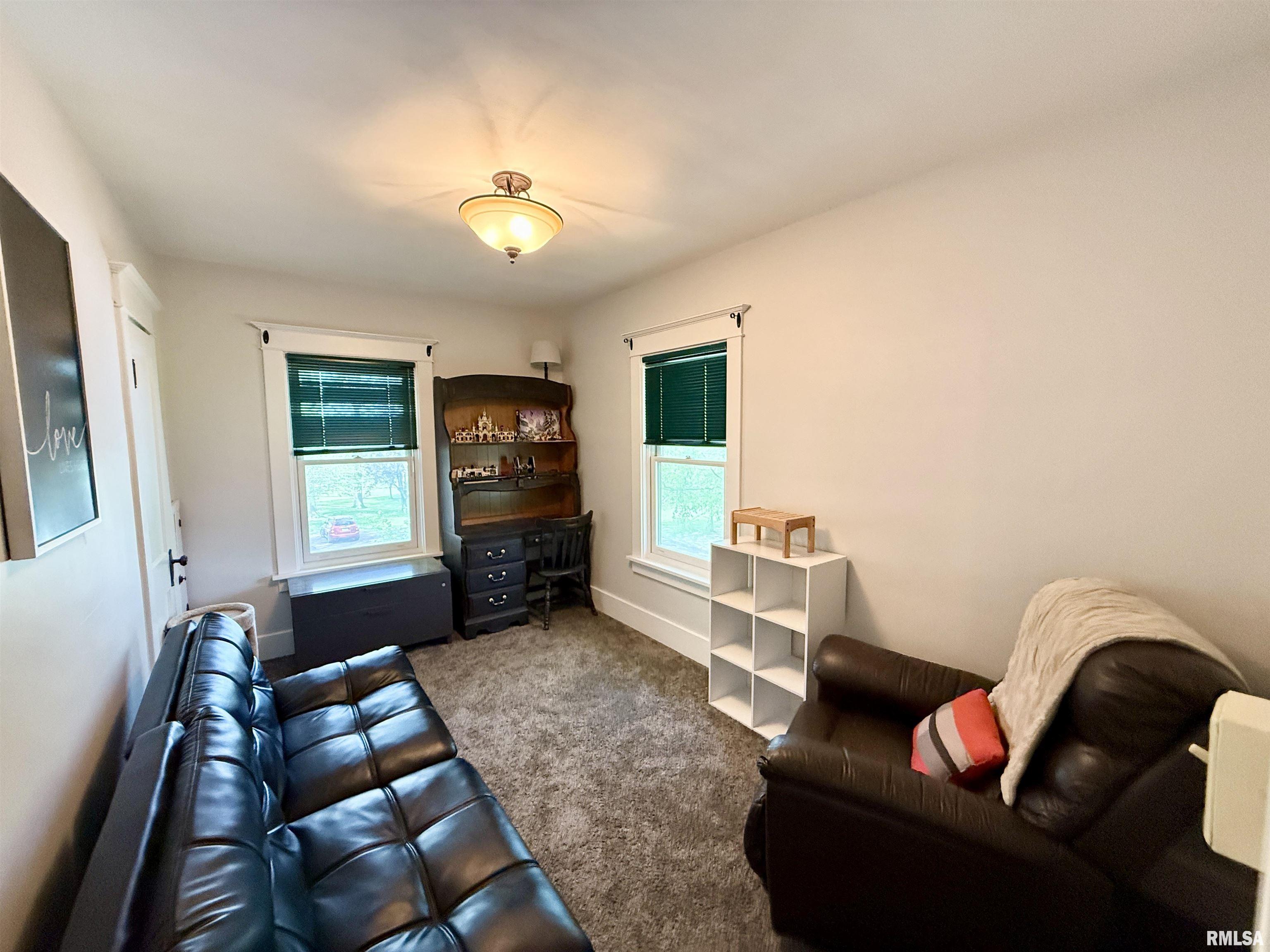 101 S Stewart Street, Geneseo, Illinois image 19