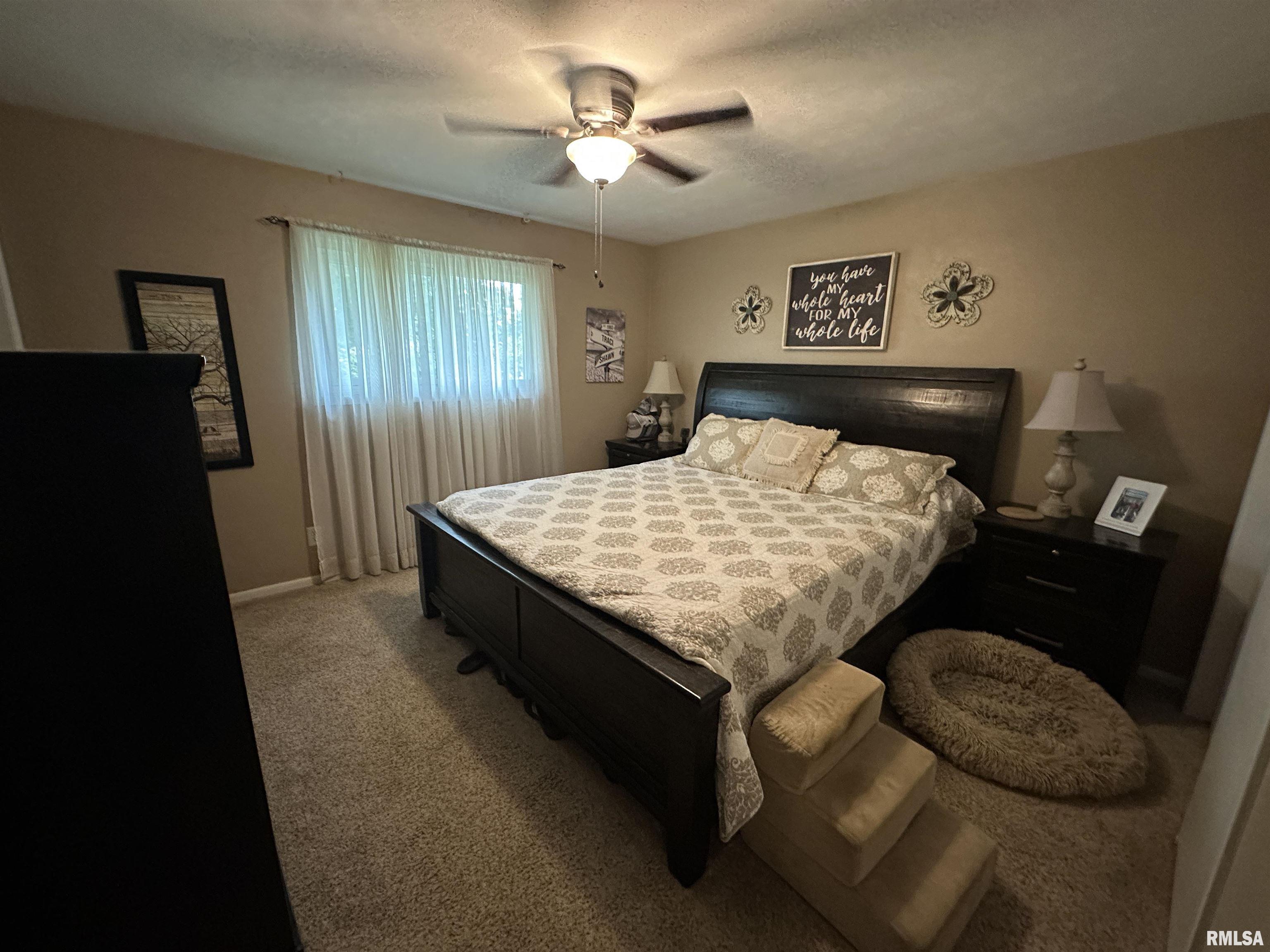 5828 W Colt Drive, Peoria, Illinois image 19