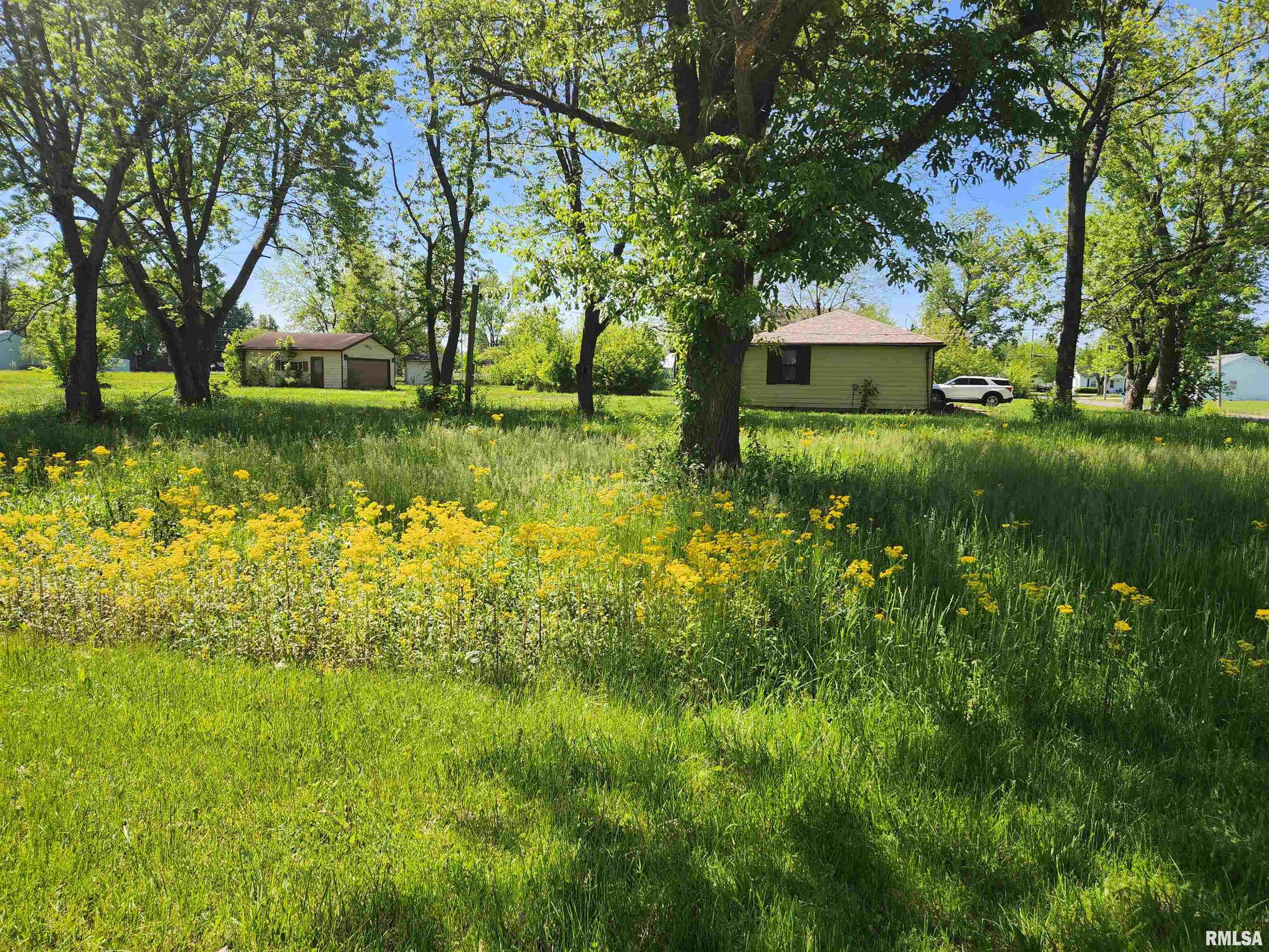 516 E Clay Street, Ashley, Illinois image 1