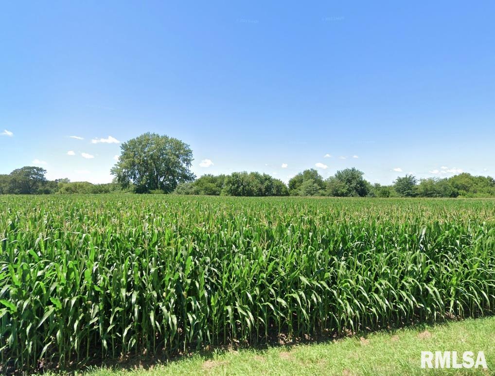 N Cline Road, Dunlap, Illinois image 1