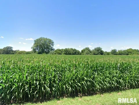 N Cline Road, Dunlap, IL 61525 - MLS#: PA1255376