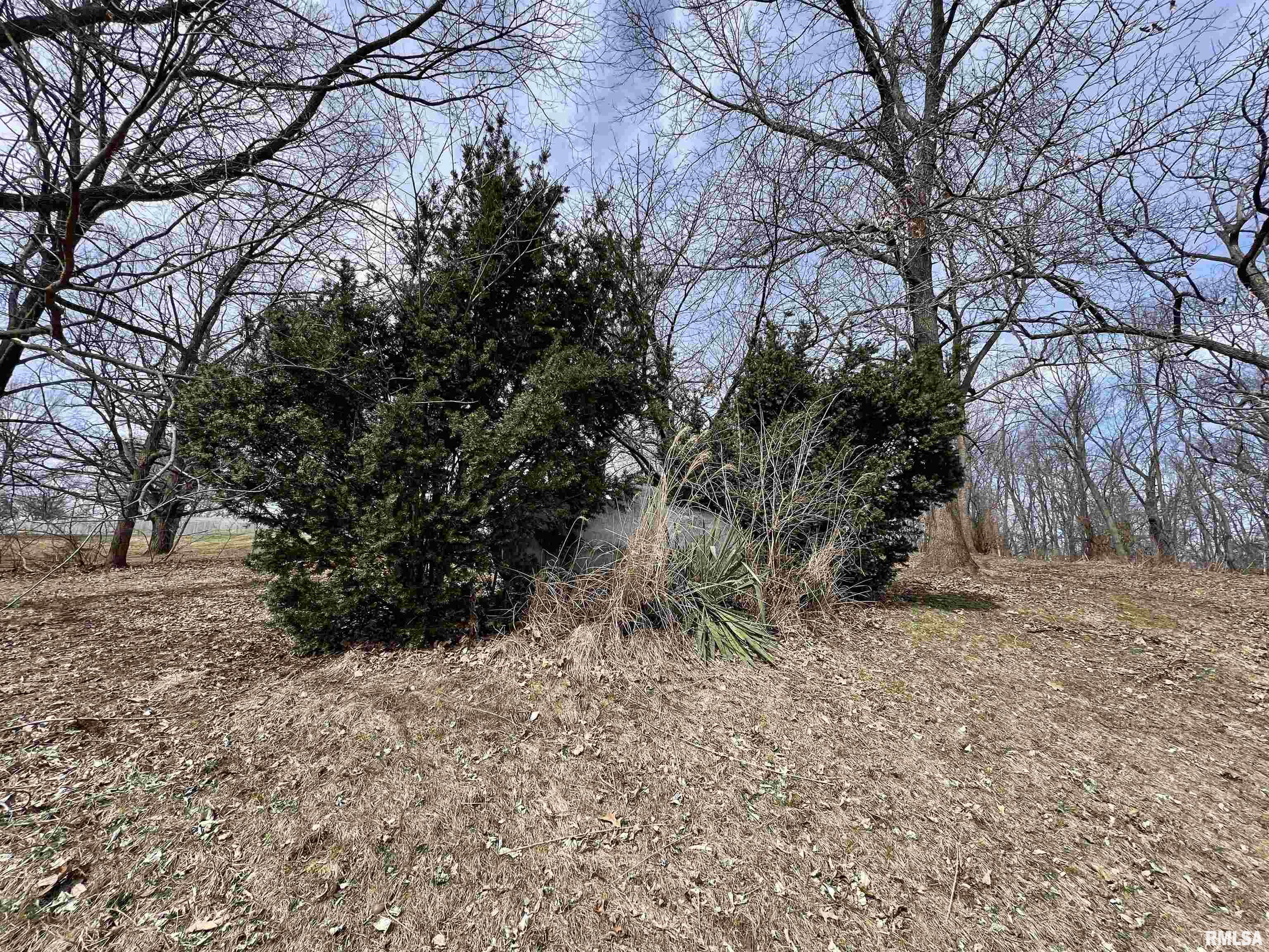 25475 N 970th Avenue, Kewanee, Illinois image 25