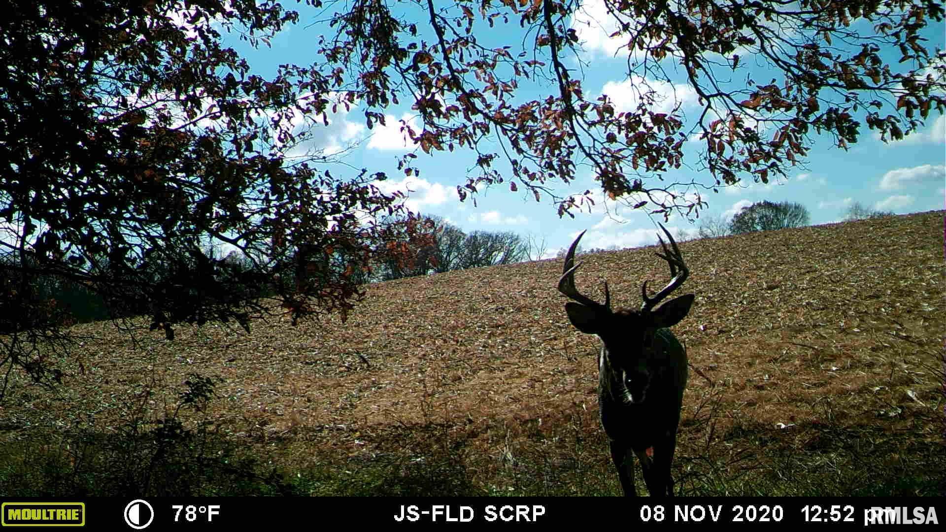 1534 Knox Rd 1000 N, Maquon, Illinois image 11