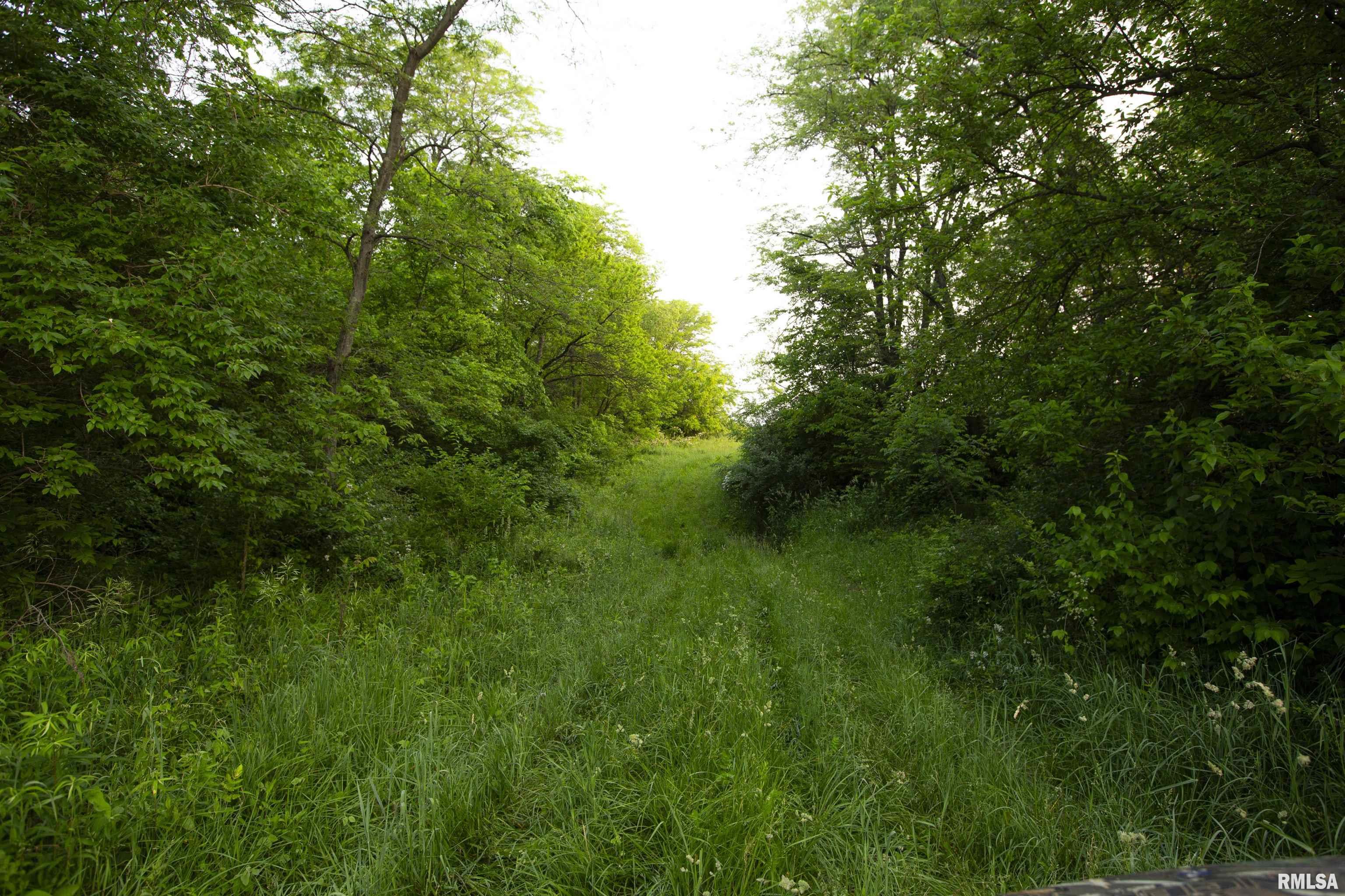 1534 Knox Rd 1000 N, Maquon, Illinois image 32