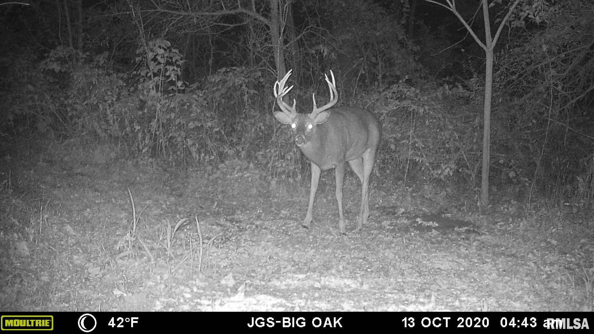 1534 Knox Rd 1000 N, Maquon, Illinois image 7