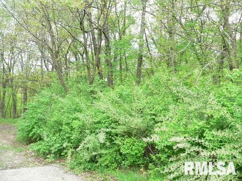 Vacant Land For Sale - 364 Seminole Blacktop<br/> Sparland, IL 61565