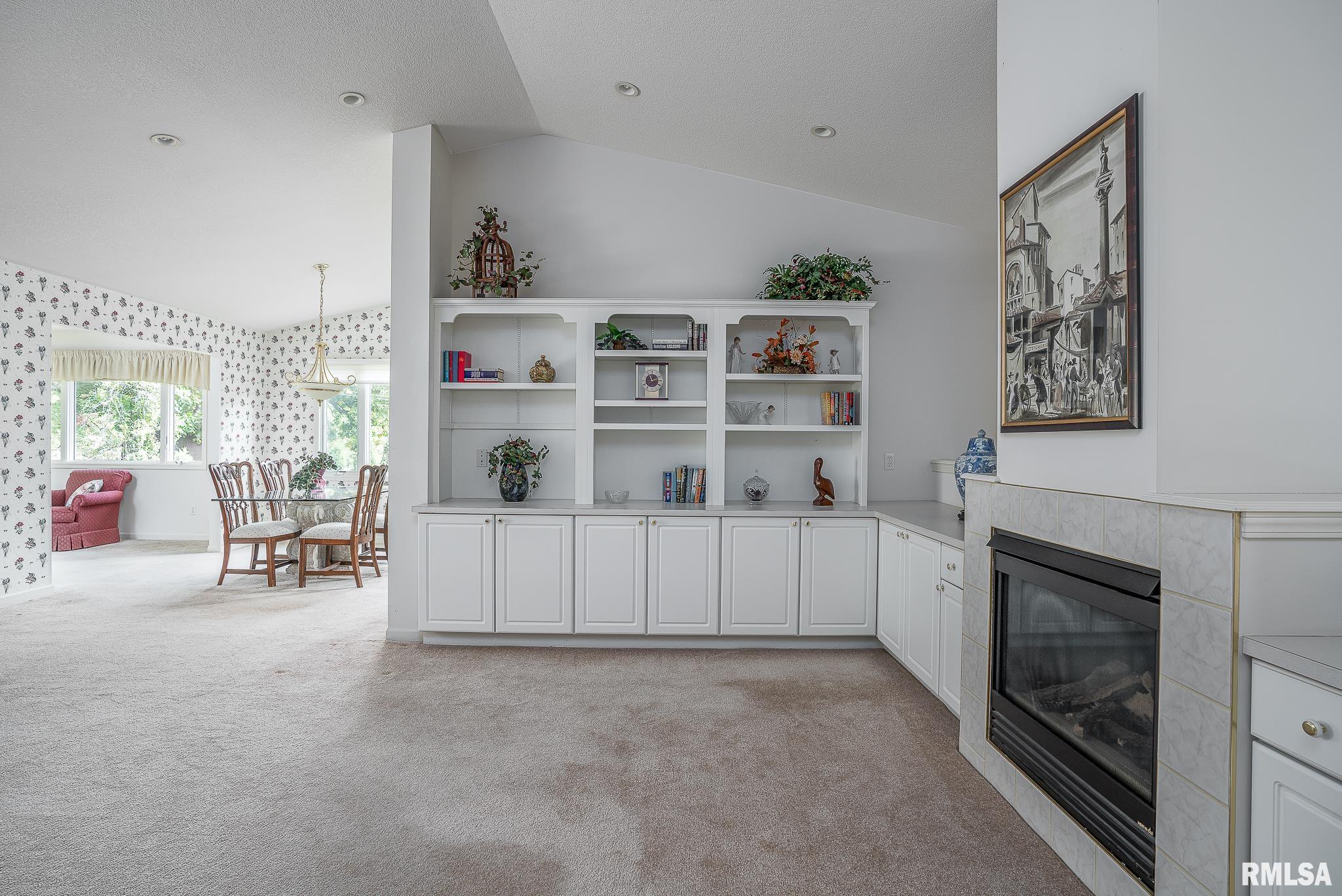 2019 Villa Pines Circle, Carbon Cliff, Illinois image 8