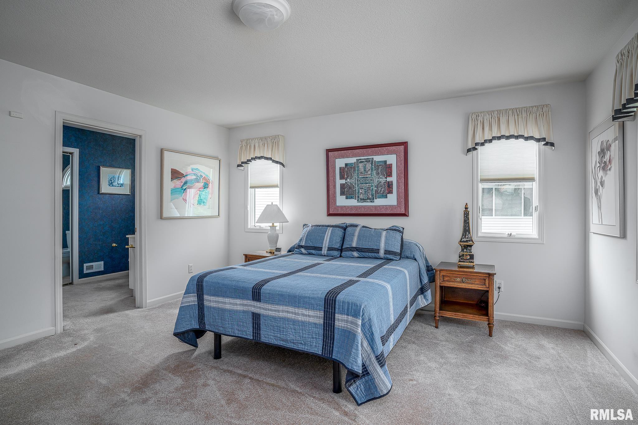 2019 Villa Pines Circle, Carbon Cliff, Illinois image 17