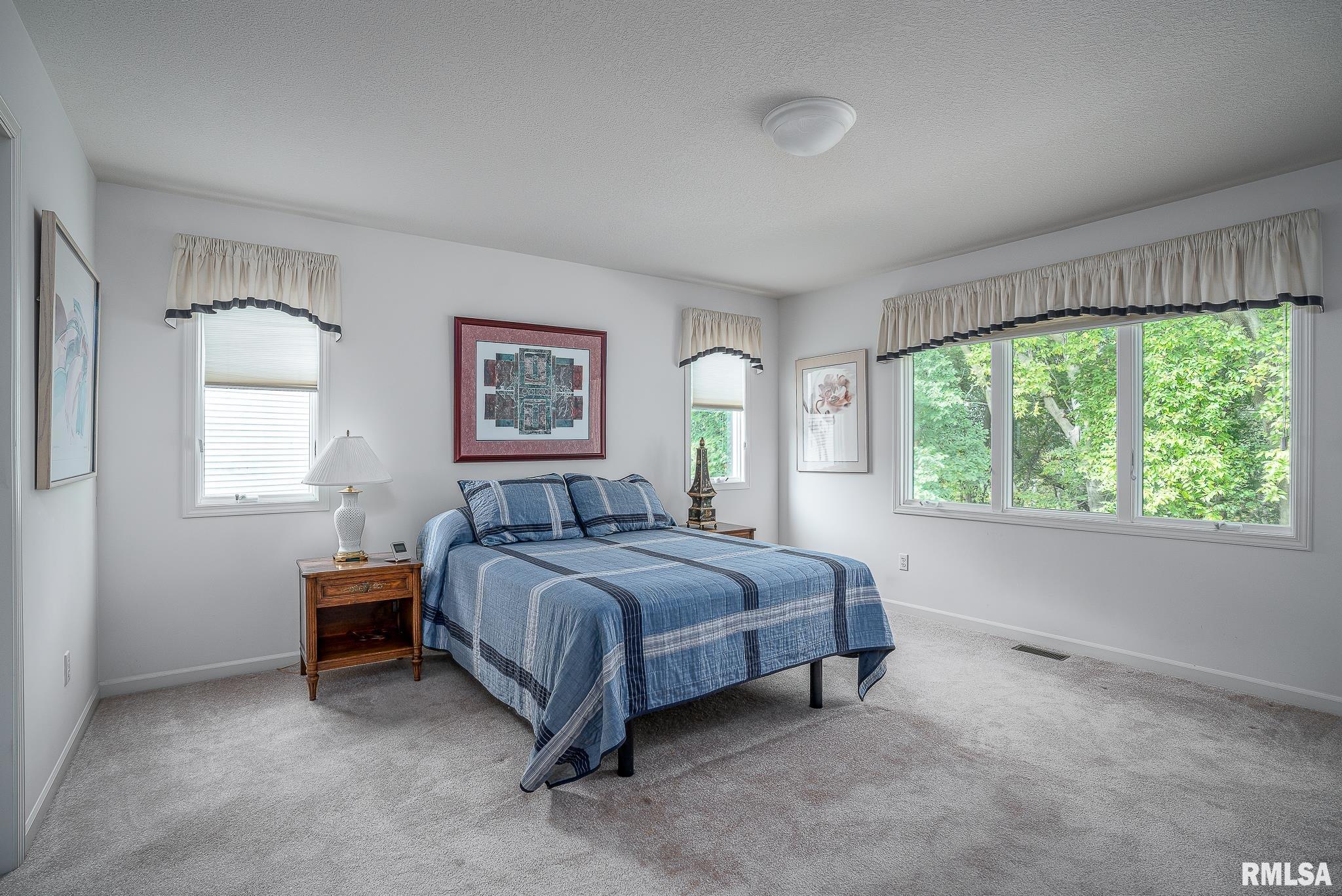 2019 Villa Pines Circle, Carbon Cliff, Illinois image 16