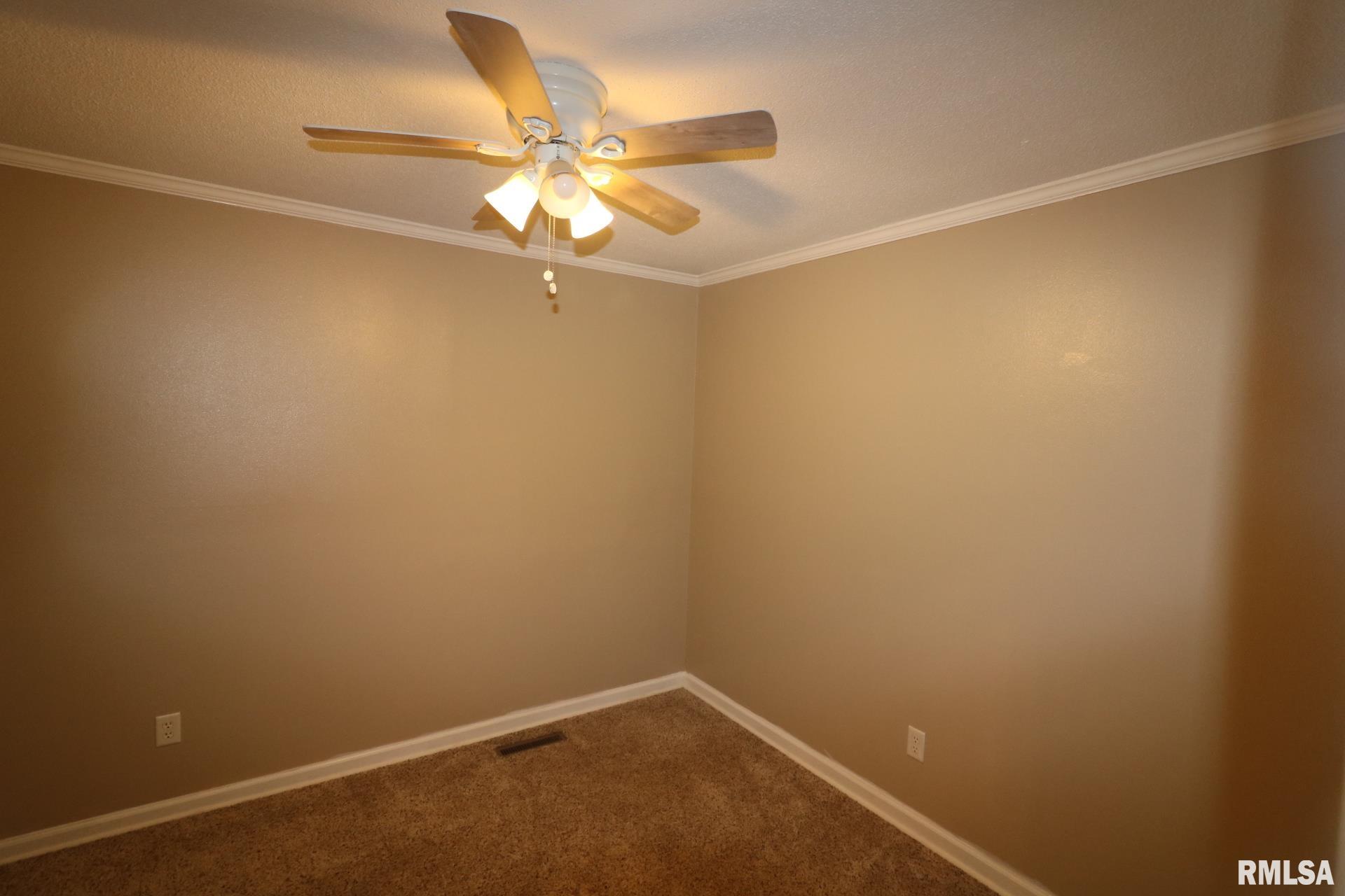 914 Valley Drive, Carterville, Illinois image 23