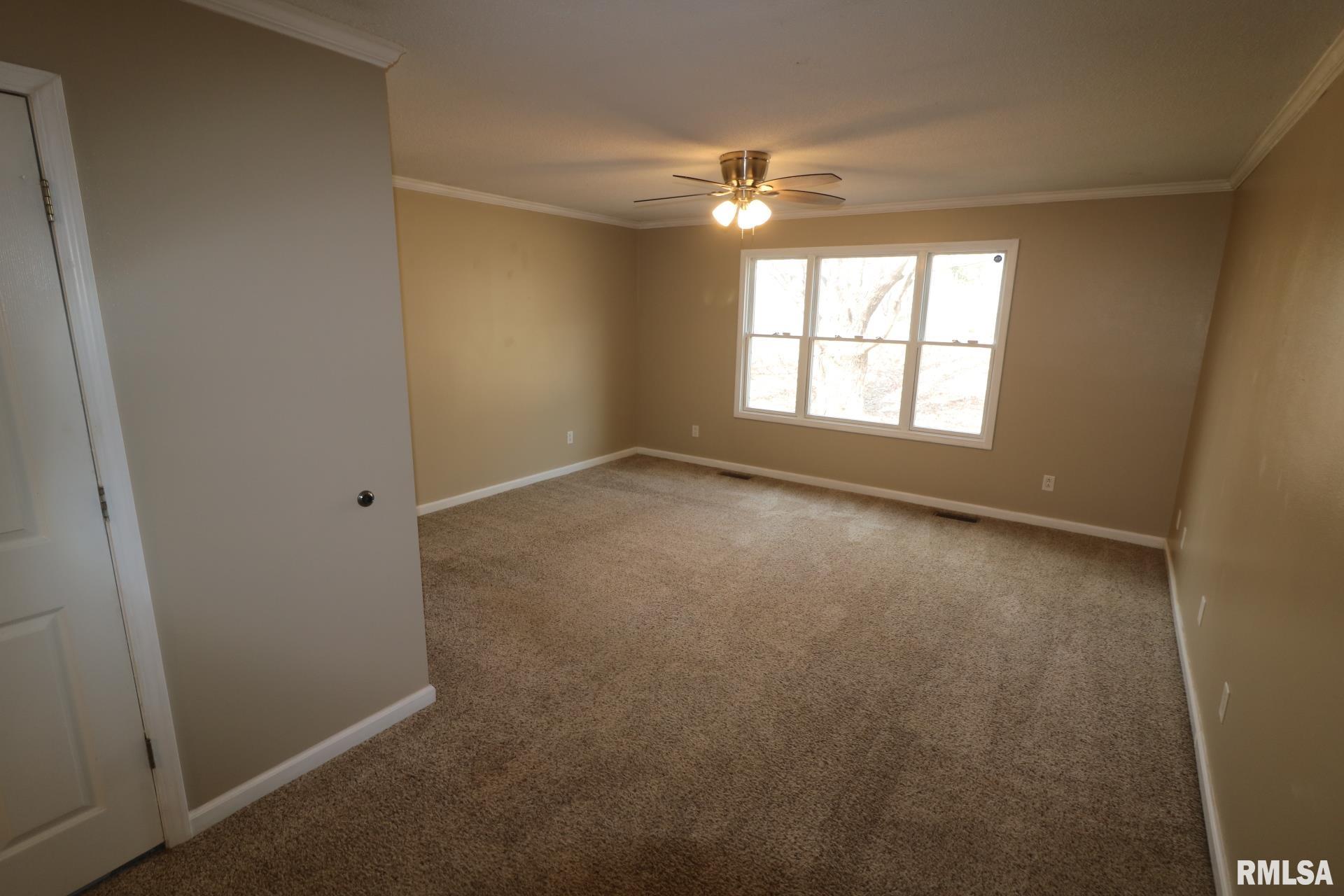 914 Valley Drive, Carterville, Illinois image 14