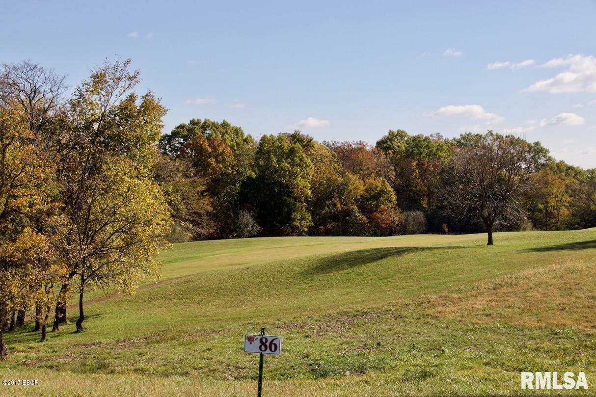 Lot 87 Stone Creek Drive, Makanda, Illinois image 2