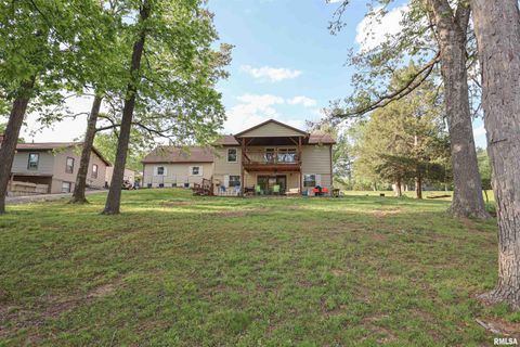 Photo of 12669 Egypt Shores Road, Creal Springs, IL 62922 (MLS # PA1265988)
