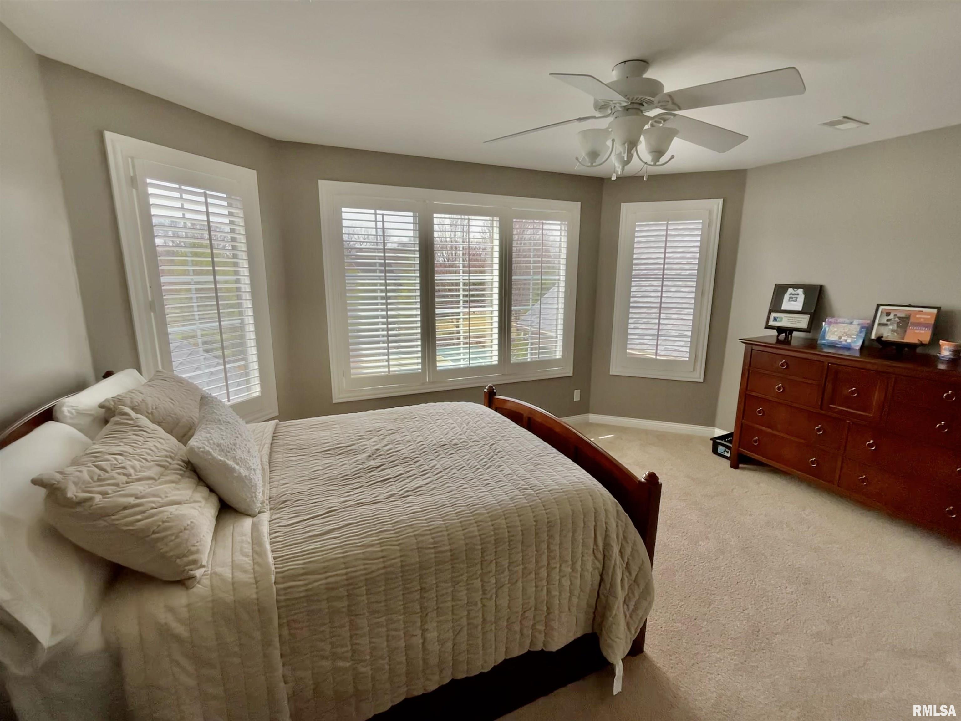 10723 N Trails Edge Drive, Peoria, Illinois image 38