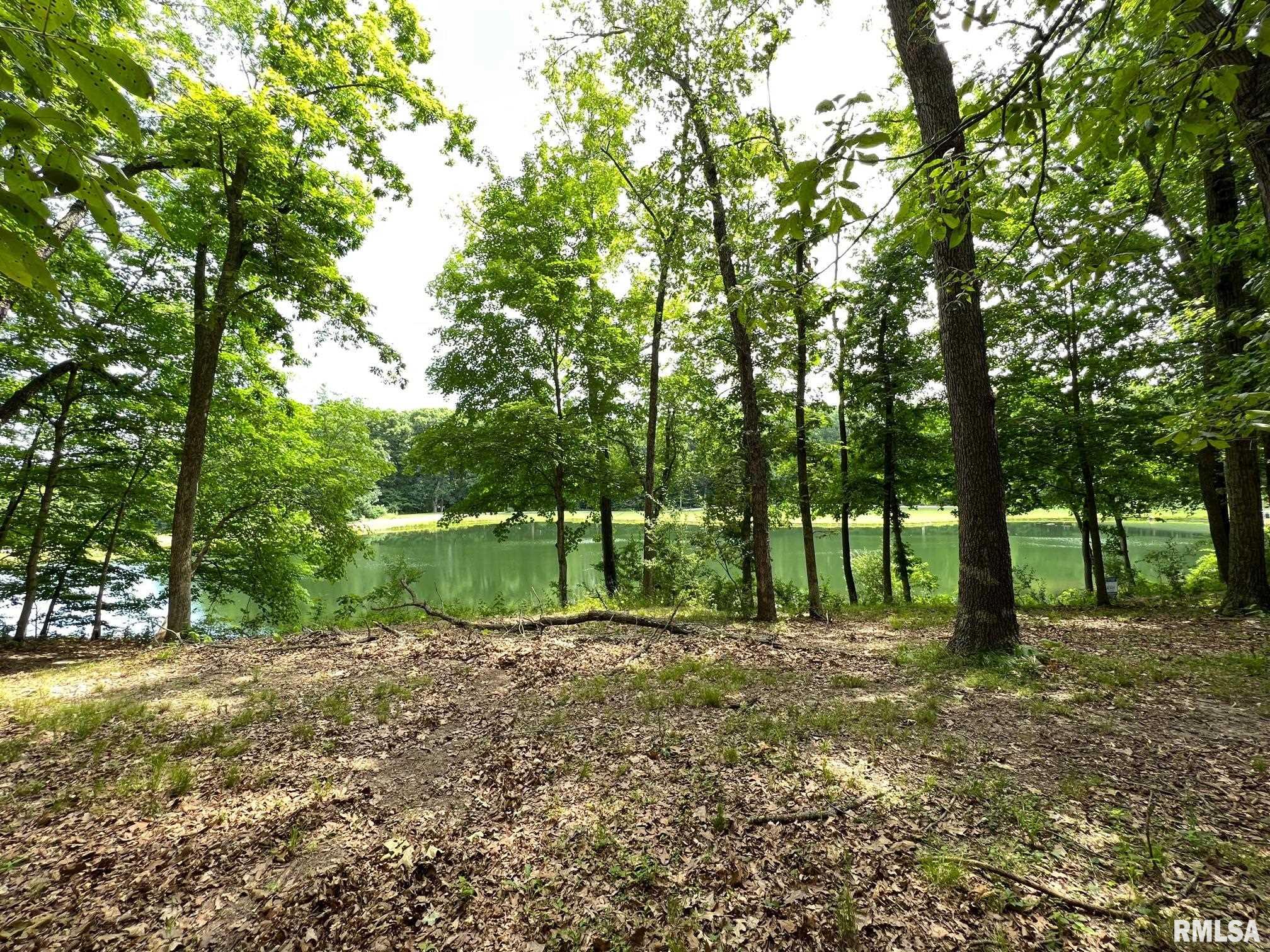 224 Beyers Lake Estate, Pana, Illinois image 6