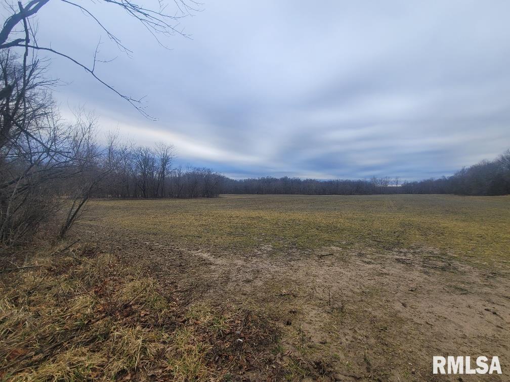 000 Brushy Creek Road, Thompsonville, Illinois image 7