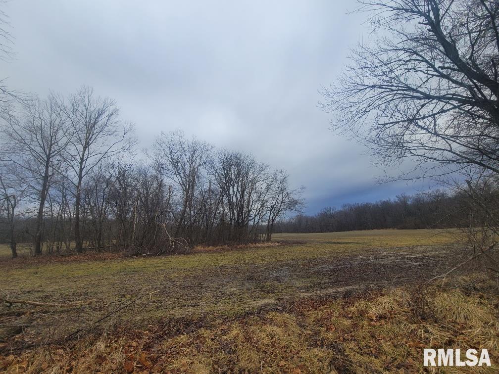 000 Brushy Creek Road, Thompsonville, Illinois image 9