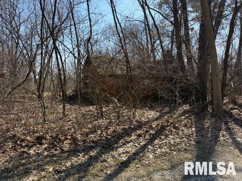 Vacant Land For Sale - LOTS 14 15 16 Deer Crossing Lane<br/> Petersburg, IL 62675