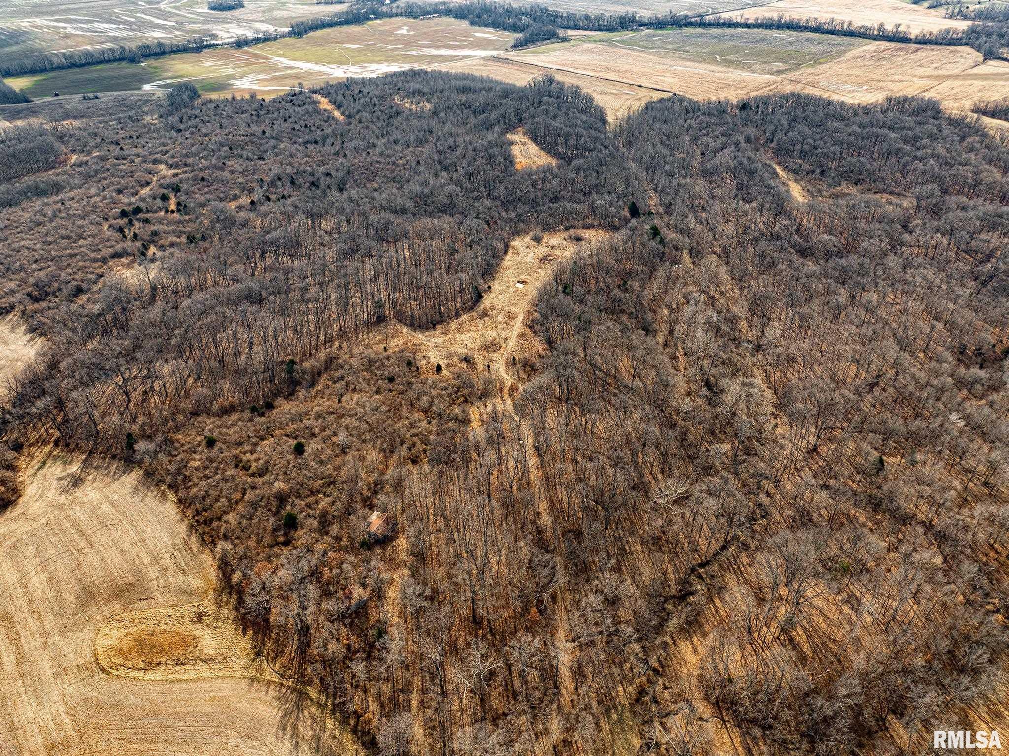 000 Propes Road, Iuka, Illinois image 8