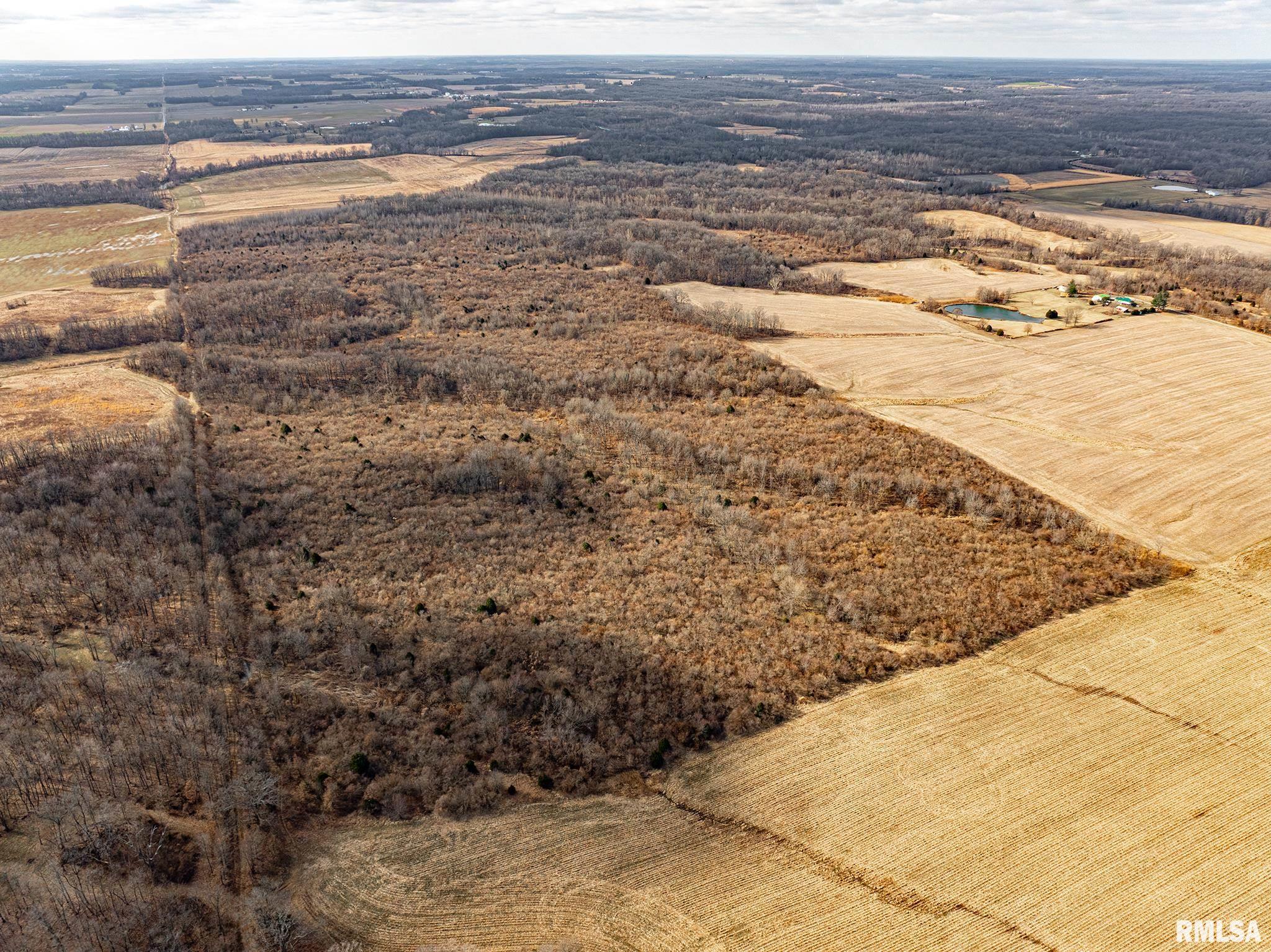 000 Propes Road, Iuka, Illinois image 6