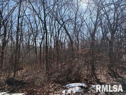Vacant Land For Sale - 20604 N Fawn Court<br/> Chillicothe, IL 61523