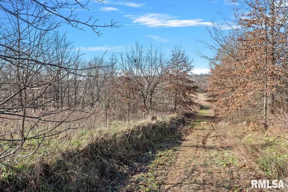 201 N 700 E Road, Herrick, Illinois image 20