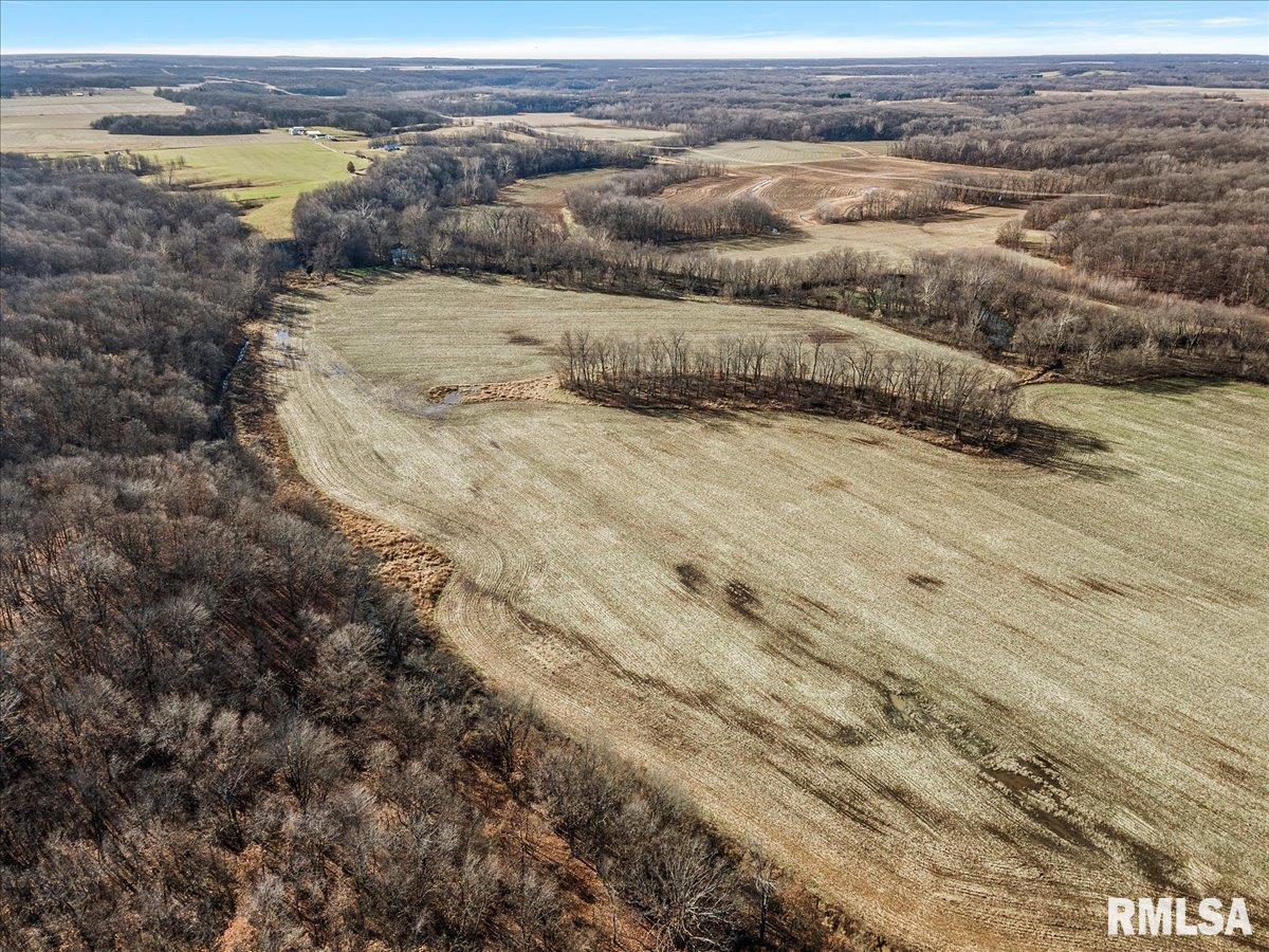 201 N 700 E Road, Herrick, Illinois image 18