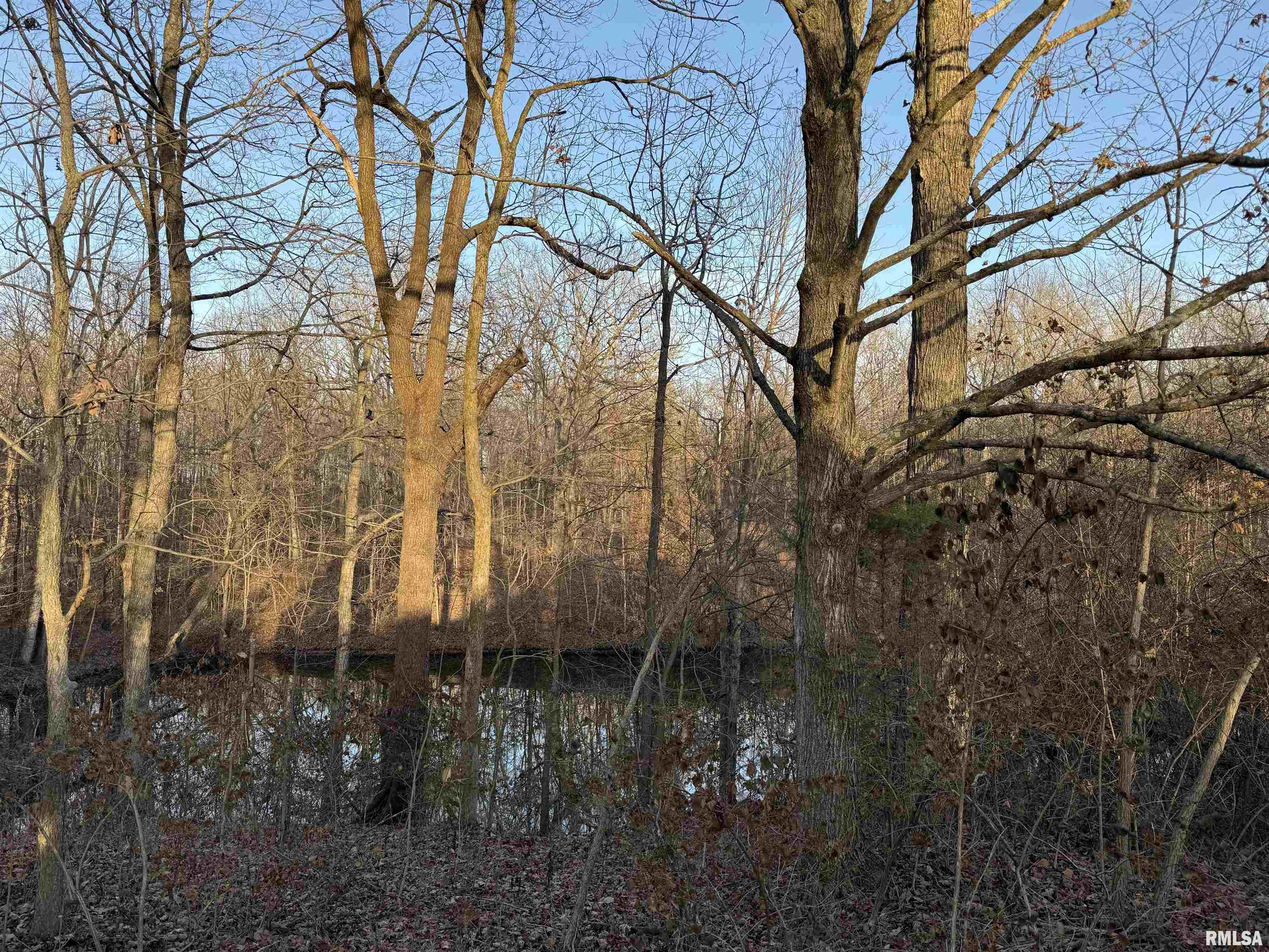 201 N 700 E Road, Herrick, Illinois image 21